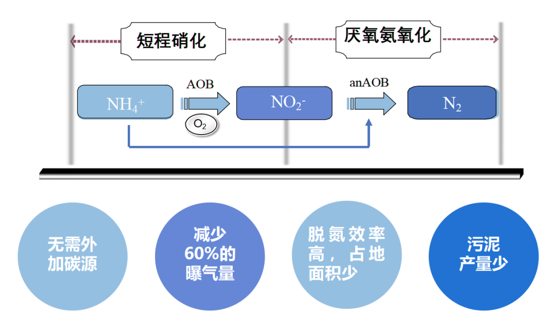 百乐博-非凡设想力,引发无限可能