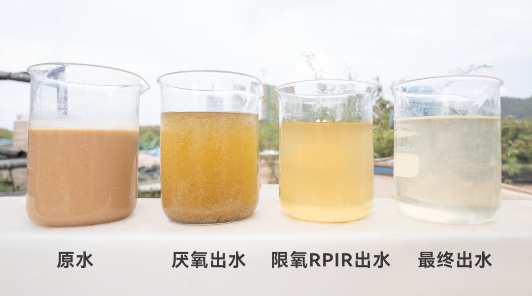 百乐博-非凡设想力,引发无限可能