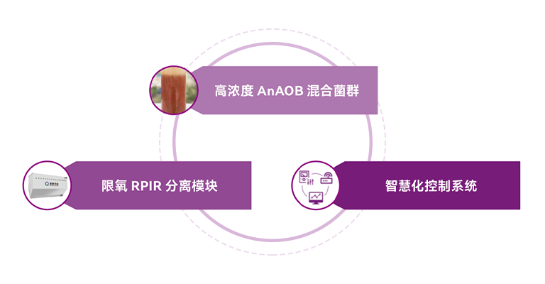 百乐博-非凡设想力,引发无限可能